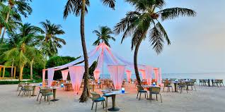 Best maldives wedding venues for getting married in the maldives. Hire The Beach Dusit Thani Maldives Prestigious Venues