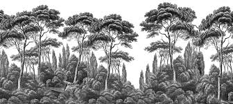 Il génère une sorte de puissance magique fascinante. Paysages Gravures Pins Et Cypres Noir Et Blanc 540x242 Ultra Mat 6 Les De 90cm Papier Peint Panoramique Papier Peint Papier Peint Arbre