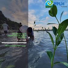 Tarif masuk plh puntondo : Pplh Puntondo Picha Facebook