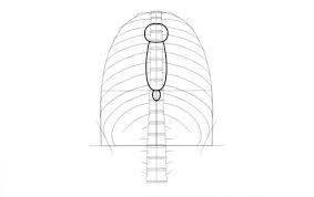 Wie Zeichnet Man Ein Skelett Schritt Fur Schritt Design Illustration Website Entwicklung Computerspiele Und Mobile Anwendungen
