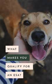 What Makes You Qualify For An Esa In 2020 Emotional Support Animal Emotional Disorders Emotional Disability