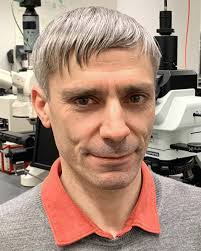 Mechanical properties and peculiarities of molecular crystals