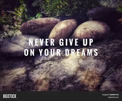 Where there is love and inspiration, you cannot go wrong. Motivational Image Photo Free Trial Bigstock