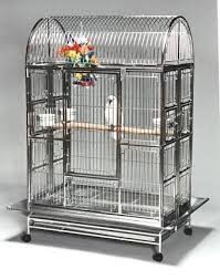 Bird Cage On Wheels For Sale Image Result For Large Parrot Cages For Sale Popugaj