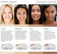 Sheer Cover Studio Conceal And Brighten Highlight Trio Two Toned Concealers Shimmering Highlighter Medium Tan Shade With Free Concealer