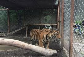 Prisiones Animales