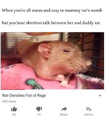 Oh Dear Lord Memes