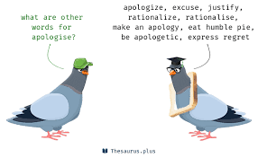 Definition for appologize vs apologize. More 100 Apologise Synonyms Similar Words For Apologise