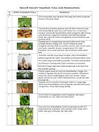 Diantaranya adalah daun, batang, buah, biji, akar dan cabai merah, bahasa latin capsicum annuum l. Macam Macam Tanaman Toga Dan Manfaatnya