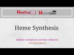 Biosynthesis Of Heme Aiims Neet Pg Dnb Exam