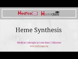 biosynthesis of heme aiims neet pg dnb exam