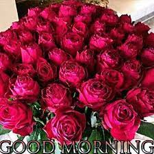 Sending good morning flower images to your beloved ones strongly convey the beautiful bond between you both and also make their day start off with positive thoughts. Good Morning To All My Friends With Flowers Steemit