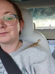 Hi iI was wondering with my 120 gallon enclosure what should the ambient  temperature be for my 10month of beardie?