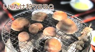 体験・遊び｜自然が友達 てんてんゴーしぶ川【公式サイト】