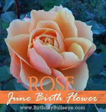 Birthstones and flowers by month. June Birthstone Color Based On A Stone That Shouldn T Count Birth Flower Tattoos June Birth Flower June Birth Stone