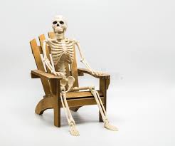 Check spelling or type a new query. Skeleton Sitting In An Adirondack Chair On White Stock Image Image Of Body Autumn 159387635