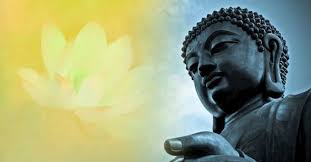 Cảm âm ca khúc 'Hoa sen trắng': Hãy như đóa Sen trong sạch nơi thế gian  điên đảo!