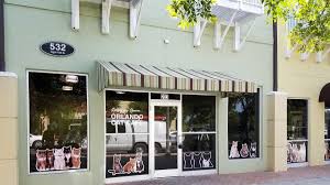 The orlando cat cafe is a cozy coffeehouse with an adjacent cat play/adoption area where you will be greeted by cats and kittens, all adoptable! Orlando Cat Cafe Sip Coffee Play With Kittens At New Clermont Cafe