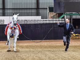 Fresona ROY, Champion PRE Andalusian Mare