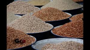 Cowpea Diversity Tamil தட ட ப பயற Youtube