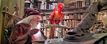 See more ideas about phoenix harry potter, phoenix bird, harry potter. Harry Potter And The Misuse Of Ecological Magic Ecology For The Masses