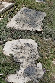 Using Simple And Safe Ingredients You Can Change The Look Of A Concrete Walkway This Crazy Trick Will Mak Stained Concrete Garden Paving Diy Concrete Planters