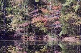 5 071 Alabama Landscape Photos Free Royalty Free Stock Photos From Dreamstime