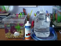 Best betta fish food available today? How To Do A Water Change On A Small Betta Tank Youtube
