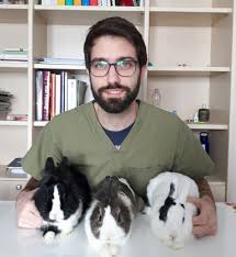 La sua alimentazione è costituita soprattutto perciò, quando sei alla ricerca della giusta alimentazione per il tuo coniglio nano, è bene scegliere cibi di fibra: Coniglio Nano Giochi Gabbia E Alimentazione Amica Veterinaria