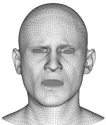 Production-Level Facial Performance CaptureUsing Deep Convolutional Neural  Networks