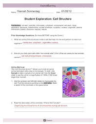What do cells need to do between divisions to make sure that they don't just get smaller and smaller? Http Hannahsonnentag Weebly Com Uploads 8 7 1 8 8718469 Gizmo Cell Structure Form Pdf