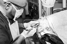 We did not find results for: Pet Dental Care Learn About Dental Care From Veterinarians