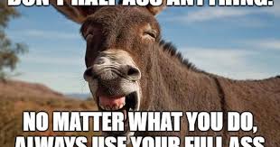 Donkey Jackass Braying Meme Generator Imgflip Jackass Funny Funny Cartoons Funny Animals