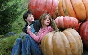 Some very nice scenes between sirius and harry. Harry Et Hermione Hermione Granger