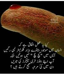 Untitled Reality Of Life Quotes Islamic Inspirational Quotes Islam Facts