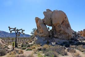 Hidden valley nature trail joshua tree. 13 Top Things To Do In Joshua Tree National Park Planetware