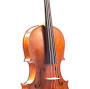 Profile Picture of Marinos Glitsos Viola 2021 - 15 7/8 length of back | Dolce Violinson Google