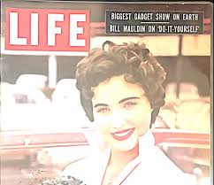 Hoxie Integration Lesson Plan “Life's” Good Intentions