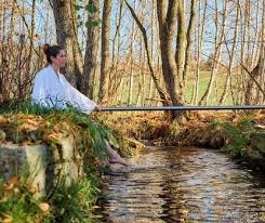 Landidyll Hotel Das Bayerwald In 2020 Wellness Bayerischer Wald Nationalpark Bayerischer Wald Tauchbecken