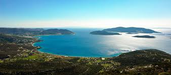 Check spelling or type a new query. Fichi I Tesori Di Eubea
