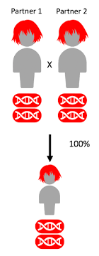 Will our baby inherit my bolder color? Understanding Genetics