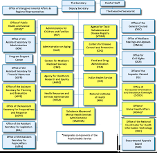 Taggs 2010 Annual Report Hhs Operating Divisions