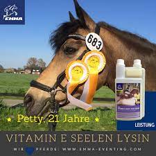 pferdepflege vitamine mineralfutter im www emma pferdefuttershop de pferdepflege pferde pflege vitamin e