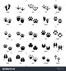 Animal Footprint Icons Set Simple Illustration Of 25 Animal Footprint Vector Icons For Webset Simple Icons Animal Animal Footprints Animal Doodles Animal Icon