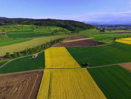Specifically, annie wanted our relationship to be an open one, meaning that we would. Understanding The Complex Relationship Between Land And Climate Climate Analytics