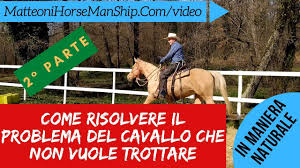 Lo fece camminare e trottare davanti a lui nel cortile. Come Risolvere Il Problema Del Cavallo Che Non Vuole Trottare 2 Parte Youtube