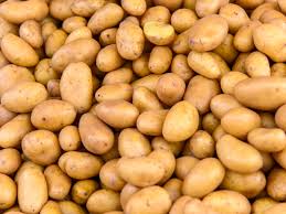 9h00 à 12h00 et 14h00 à 18h30 pour les commandes sur internet,vous pouvez aussi venir acheter directement le vendredi de 15h30 à 18h30 à la ferme où nous mettons notre étale de légumes. Tout Savoir Sur La Pomme De Terre Allians Potager City