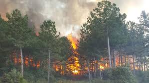 Jul 28, 2021 · osmaniye'de orman yangını osmaniye'nin kadirli ilçesinde çıkan orman yangınına havadan ve karadan müdahale edilirken bölgeye çok sayıda ekip sevk edildi. Orman Muhendisleri Yukselen Yangin Riski Konusunda Uyardi Haber Gunes