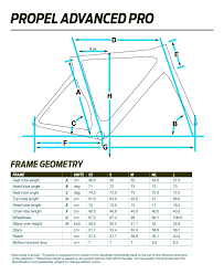 Giant Propel Advanced Pro 1 Woodcock Cycle Works Winnipeg