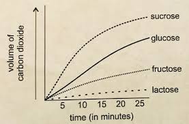 An element found in water and carbon dioxide. Chapter 4 Cellular Energy Flashcards Quizlet
